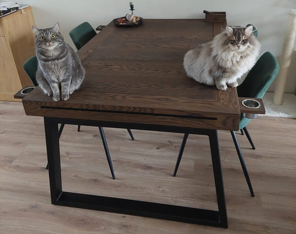 Tafel met poezen.